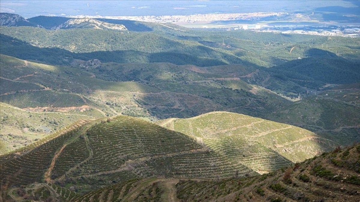 Turkiyenin orman varligi korunuyor Yanan alanlar maksadi disinda kullanilmiyor