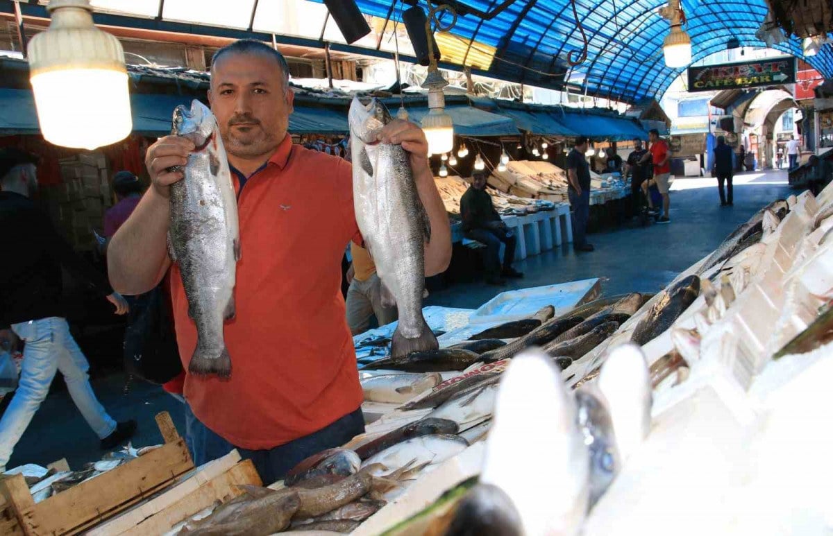 Balikcilar fiyatlar ucuzlasin diye ihracata kisitlama istedi